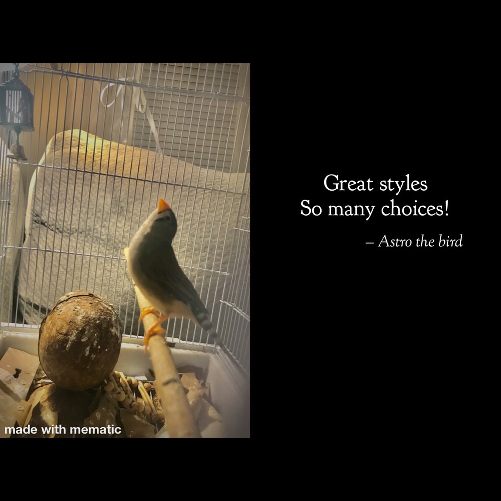 Go ahead make an offer I can’t refuse